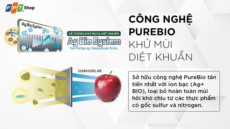 Tủ lạnh Toshiba Inverter 194 lít GR-RT252WE-PMV(52)