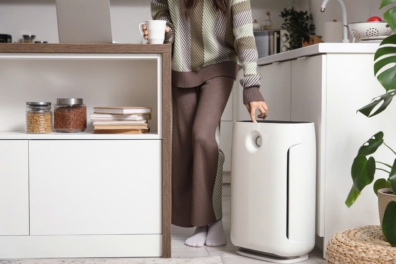 Top máy lọc không khí nội địa Nhật ảnh 6