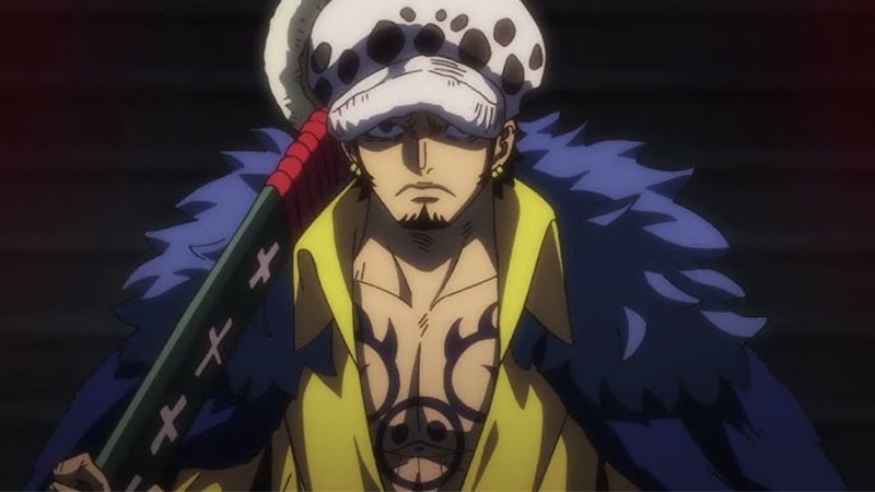 Những sự thật thú vị về Trafalgar D. Water Law