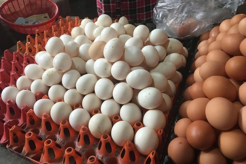 Trứng gà để tủ lạnh có ấp được không ảnh 5
