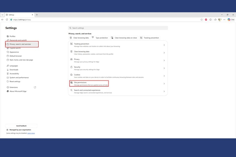 Truy cập mục Privacy, search, and services