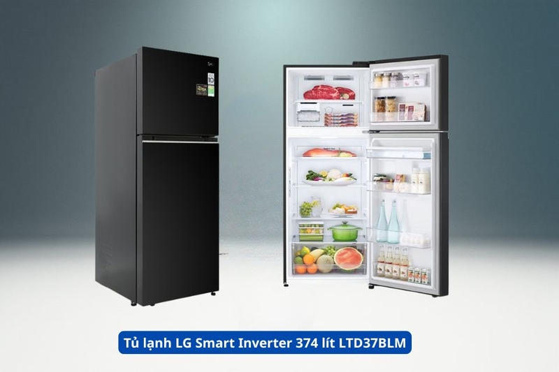 Tủ lạnh LG Smart Inverter 374 lít LTD37BLM.jpg