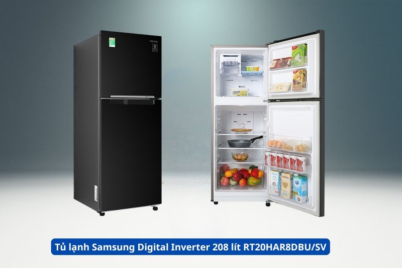 Tủ lạnh Samsung Digital Inverter 208 lít RT20HAR8DBU_SV.jpg