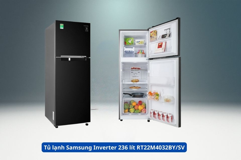 Tủ lạnh Samsung Inverter 236 lít RT22M4032BY_SV.jpg