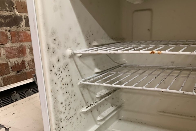 Dấu hiệu nhận biết tủ lạnh bị mốc rõ ràng nhất