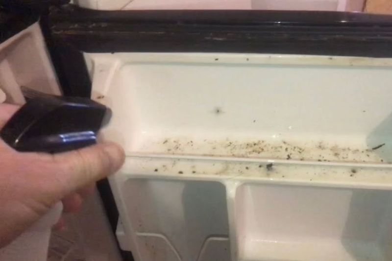 Vệ sinh không thường xuyên hoặc không đúng cách