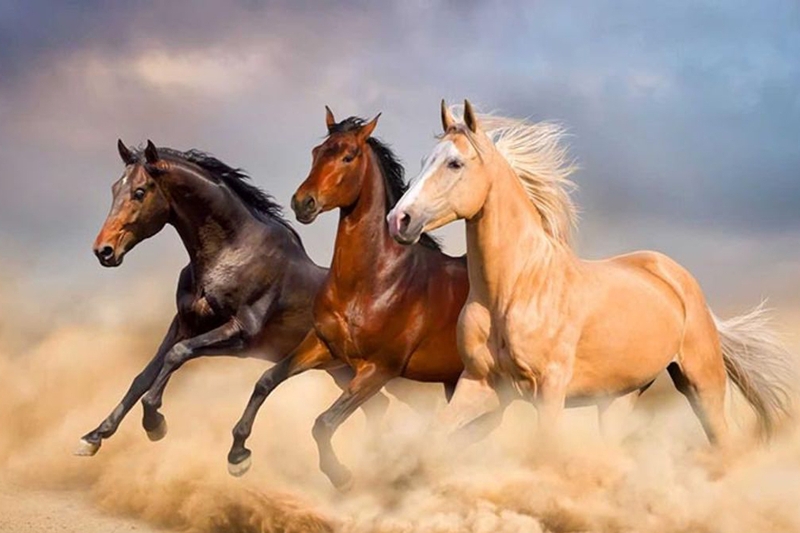 Tuổi Ngọ mệnh gì theo từng năm sinh?