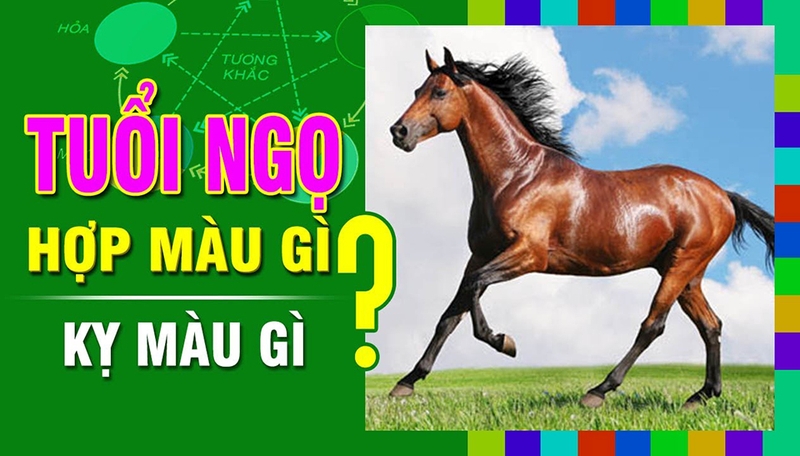 Tầm quan trọng của màu sắc đối với người tuổi Ngọ