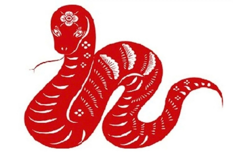 Tuổi Tỵ khai trương ngày nào tốt 2026 ảnh 4