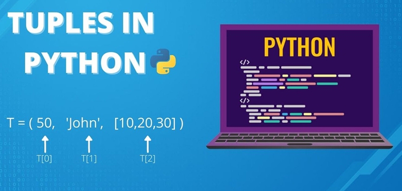 Tất cả về tuples trong Python để bạn viết mã gọn, nhanh, hiệu quả