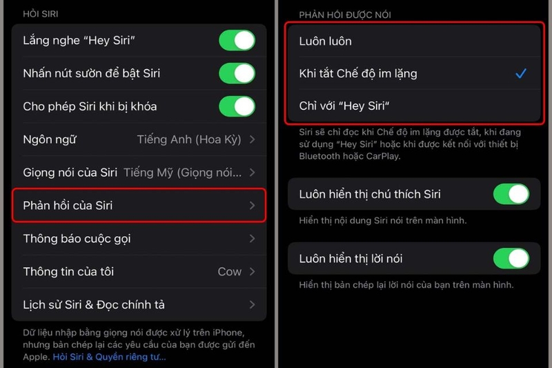 Tùy chỉnh phản hồi bằng giọng nói