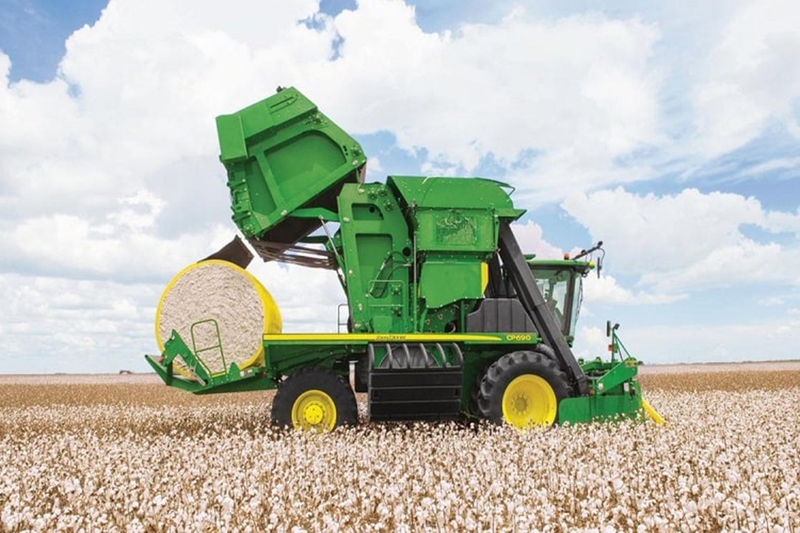 Thu hoạch và sơ chế bông