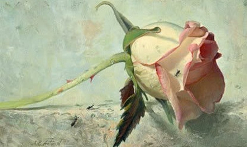 Vẽ hoa hồng ảnh 3