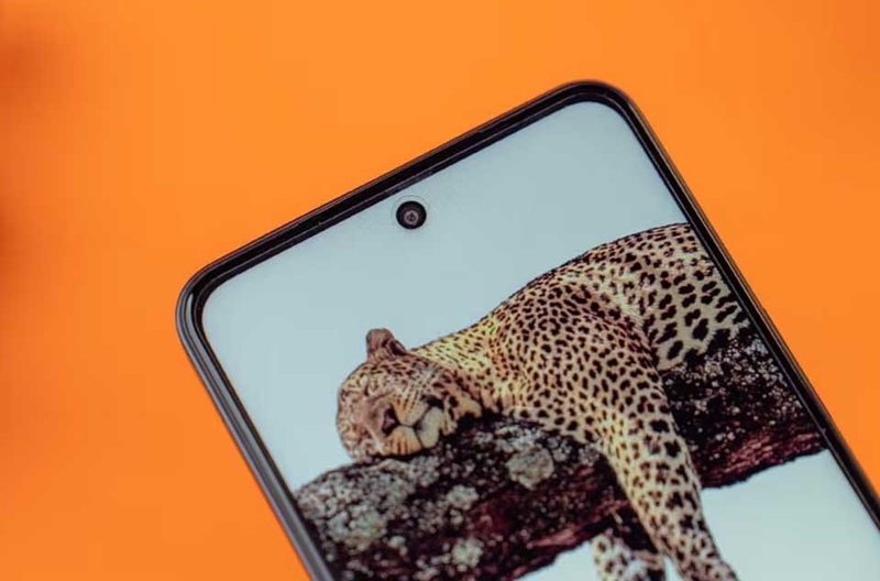 Vivo Y19s - 04