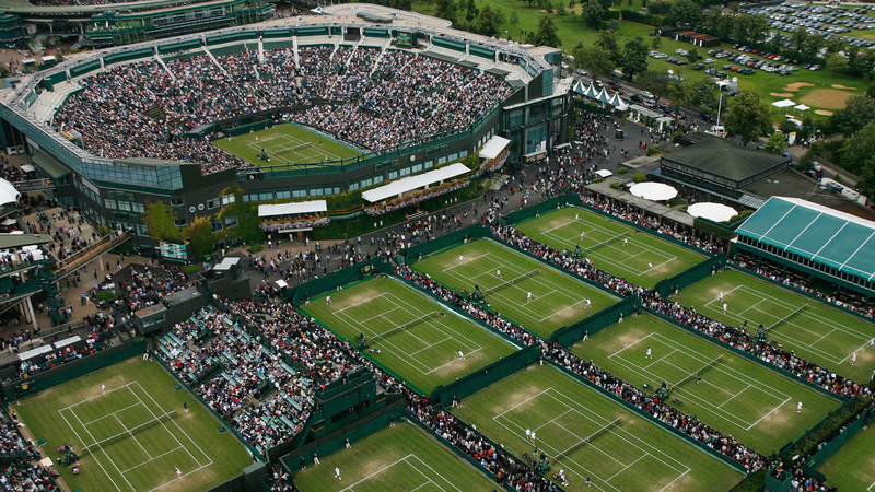 Wimbledon là giải đấu của bộ môn nào 10.png