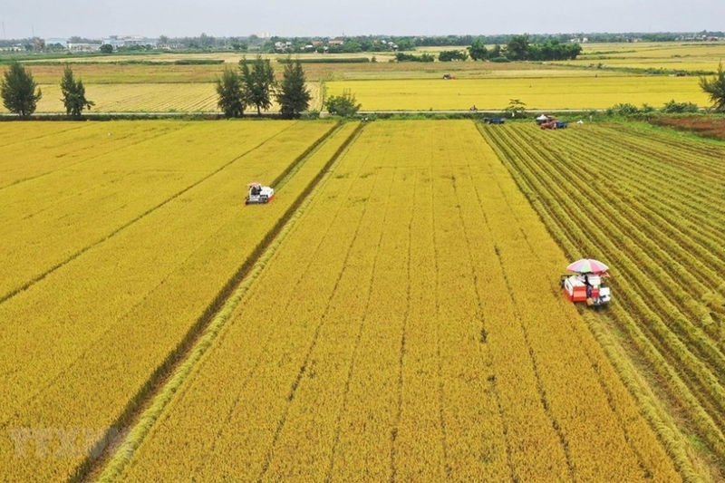 Xã Chợ Mới của An Giang (3)