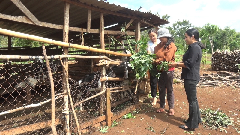 Xã Ea Drông của Đắk Lắk sau sáp nhập 6.jpg