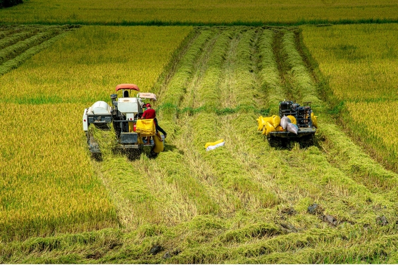 Nông nghiệp phát triển bền vững