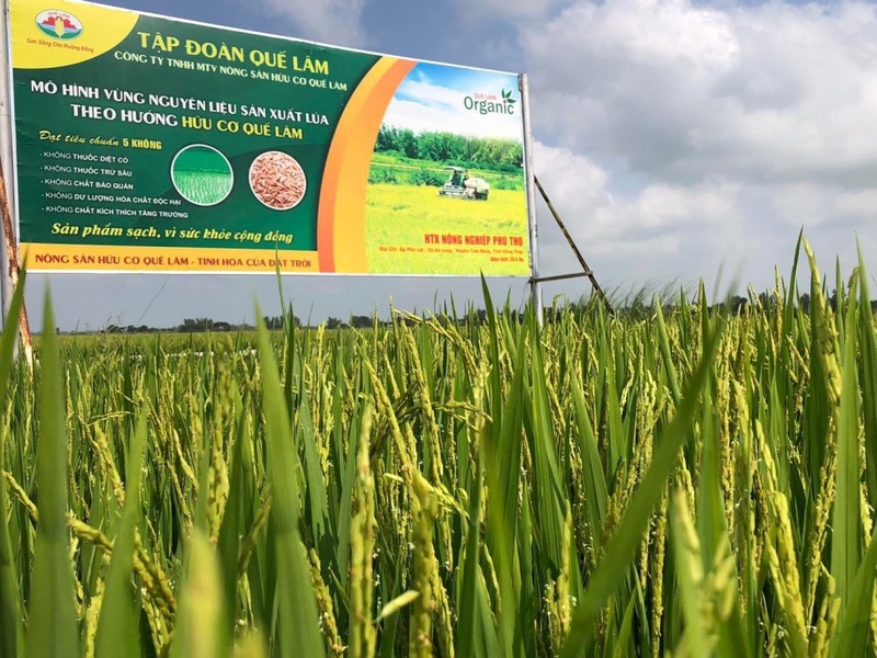 Xã Phú Thọ của Đồng Tháp 3.jpg