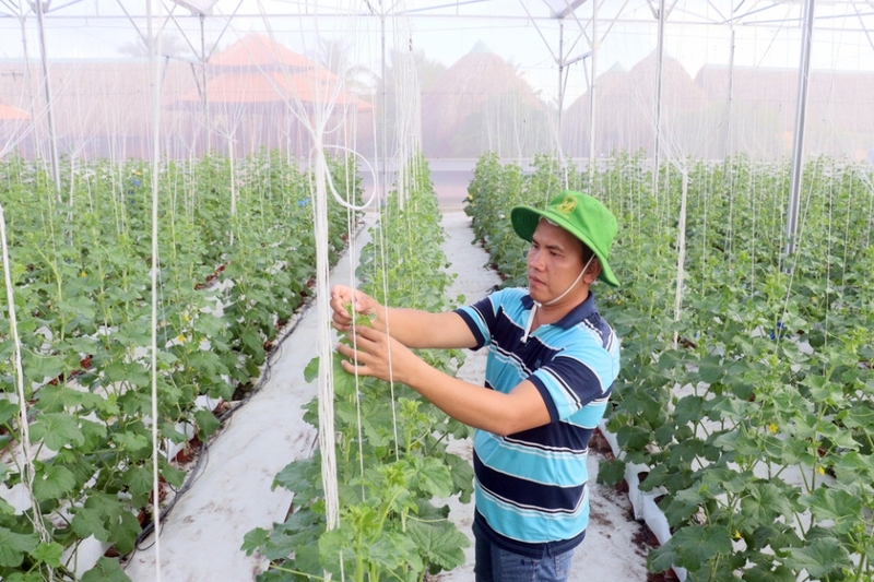 Xã Song Phú của Vĩnh Long (3)