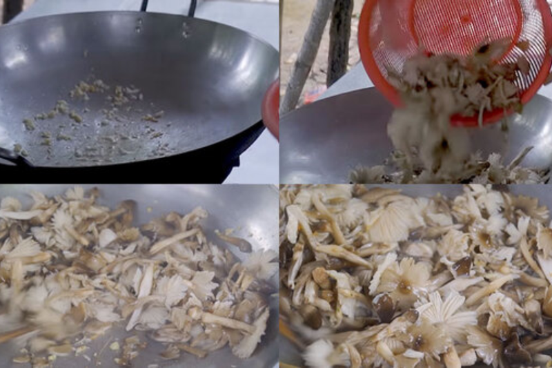 Cháo gà nấm mối 3