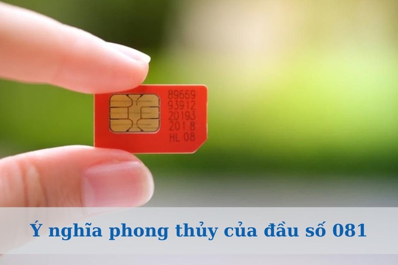 Ý nghĩa phong thủy của đầu số 081