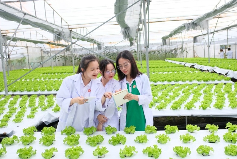 A02 là khối gì 2