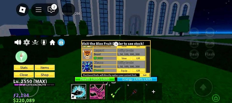 Acc Blox Fruit - 12