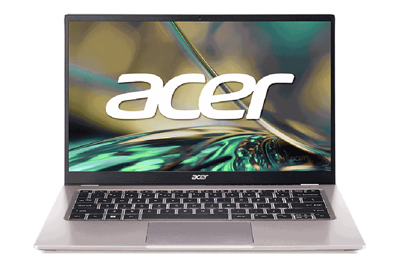 Acer Swift chơi game tốt (hình 1)
