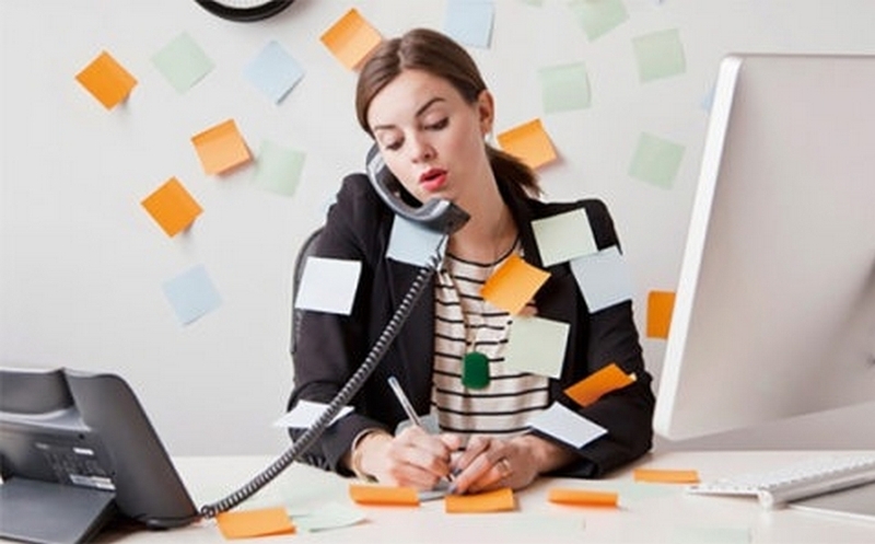 admin officer là gì ảnh 4