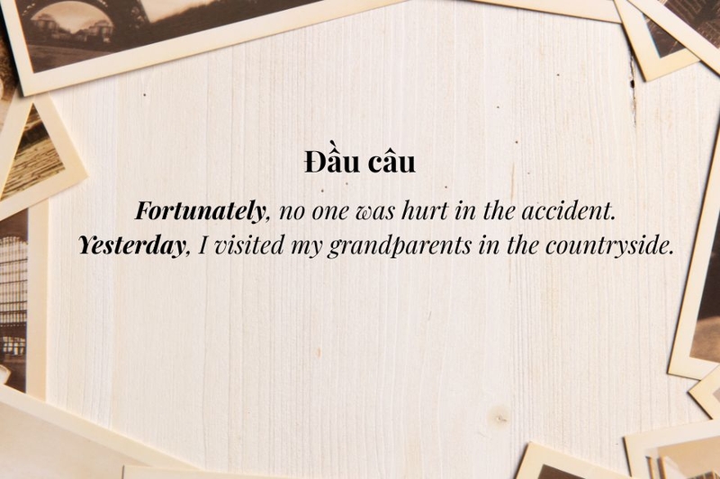 adv là gì (ảnh 2)