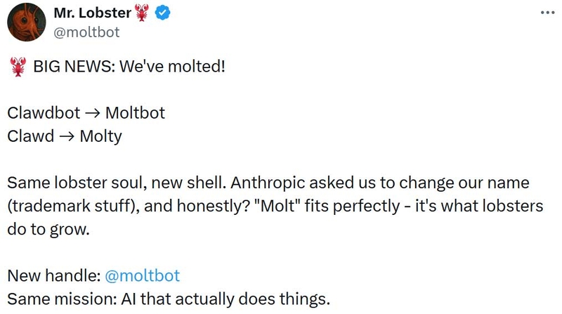 ai-moltbot-gay-sot-2.jpg