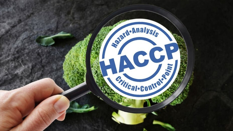 Tiêu chuẩn quốc tế giúp việc quản lý thực phẩm rõ ràng hơn