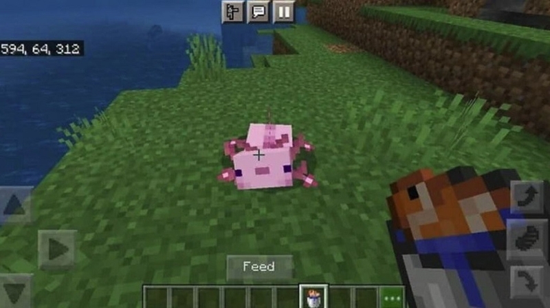 Khi nào nên ăn để tối ưu hồi phục trong Minecraft?