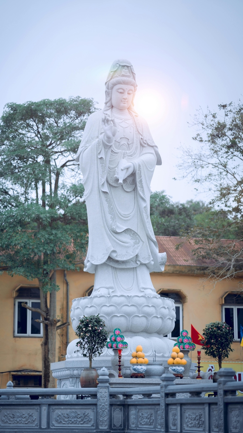 Làm hình nền cho điện thoại 1