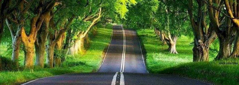 Nhiều ý nghĩa khác nhau được thể hiện thông qua các tấm ảnh bìa