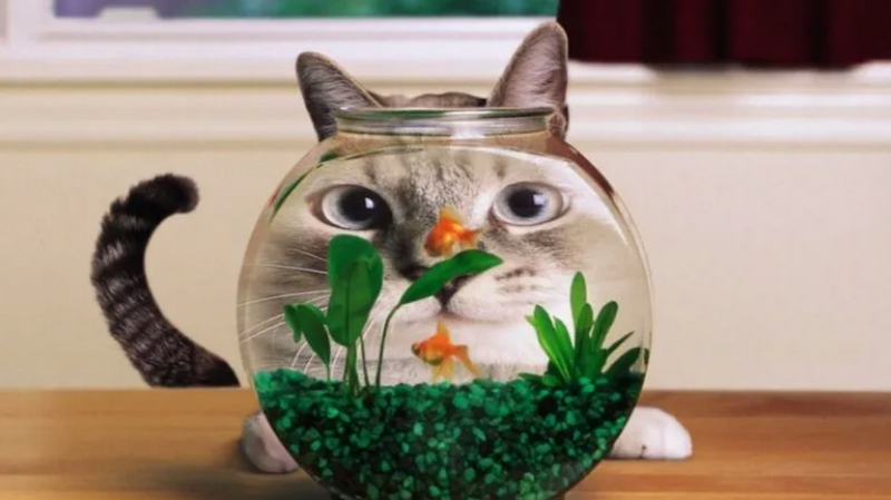 Tải ngay những mẫu ảnh bìa đẹp và ấn tượng