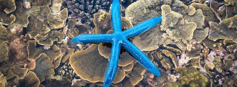 Cách dùng ảnh bìa khác với ảnh đại diện trên MXH