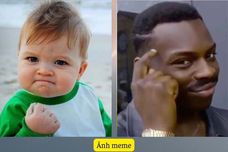 ảnh meme là gì