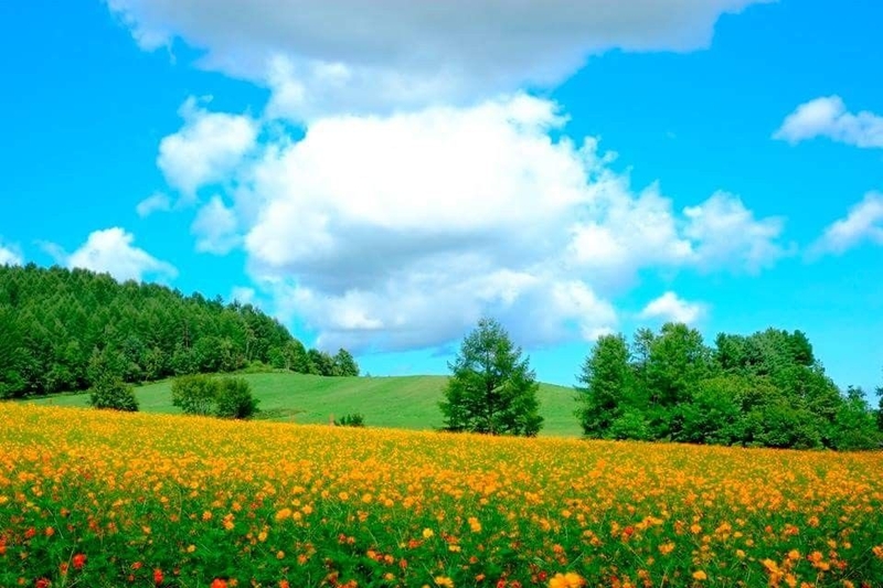 ảnh phong cảnh đẹp hình 26