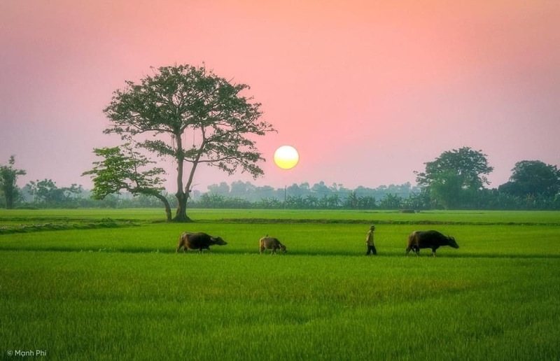 ảnh phong cảnh đẹp hình 4