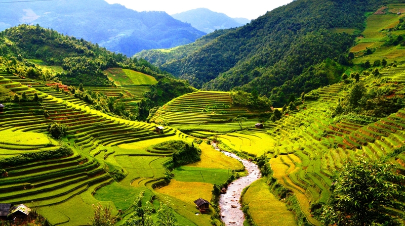 ảnh phong cảnh đẹp hình 7