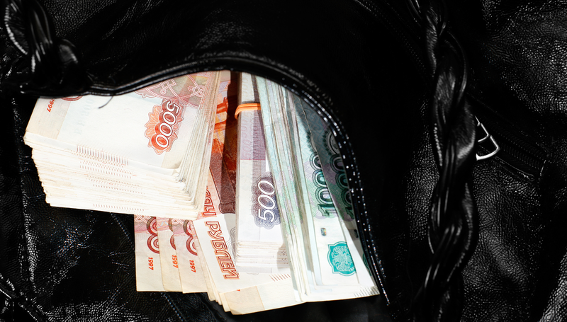 Ảnh tiền trong ví, túi xách 2