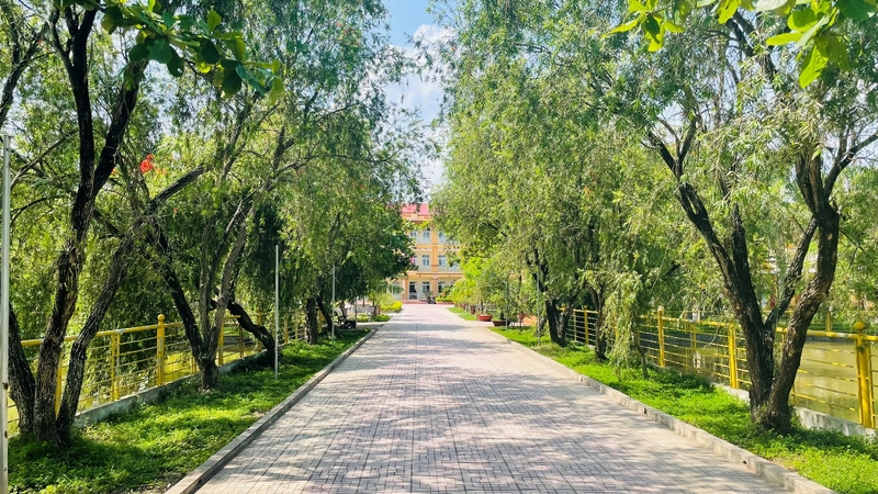Không gian ngập tràn sắc xanh
