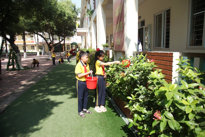 Ươm mầm xanh cho không gian trường học