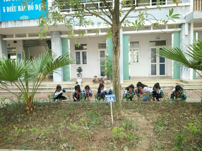 Ươm mầm xanh cho không gian trường học 1