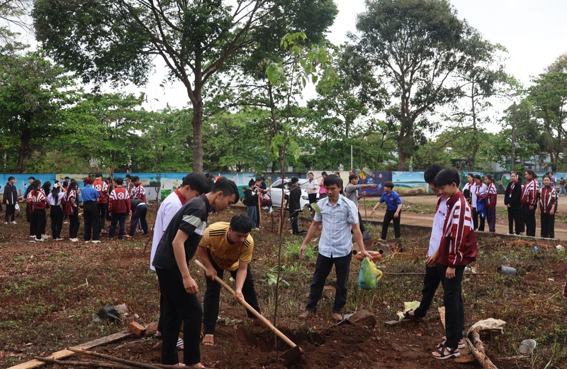 Ươm mầm xanh cho không gian trường học 2