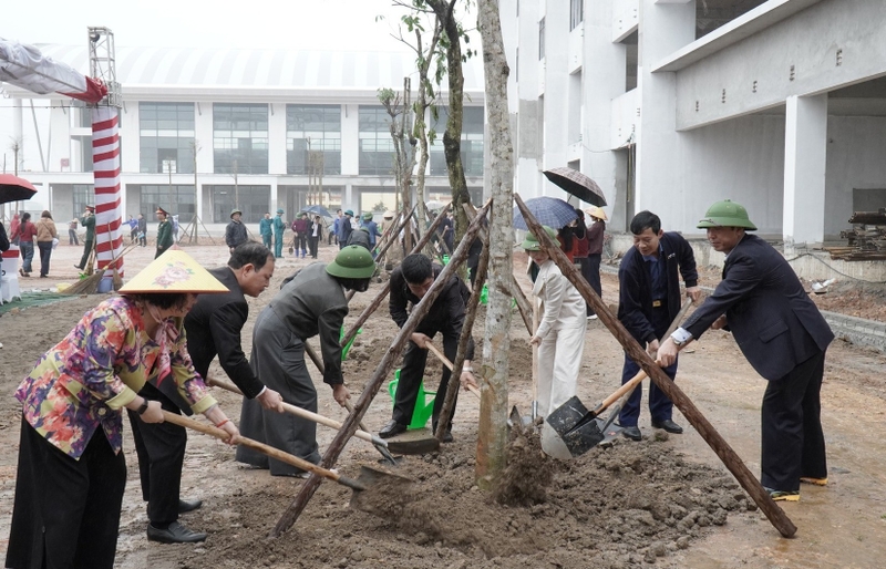 Ươm mầm xanh cho không gian trường học 4