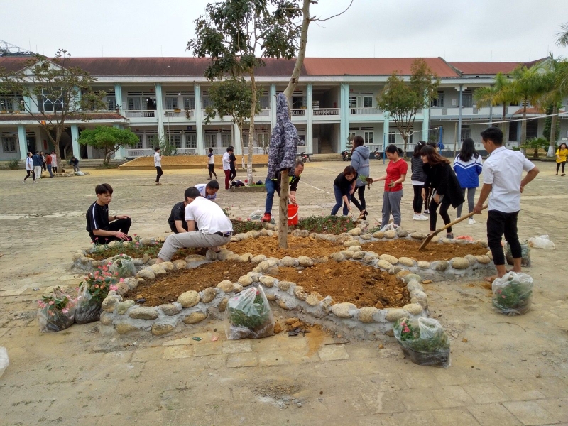 Ươm mầm xanh cho không gian trường học 5