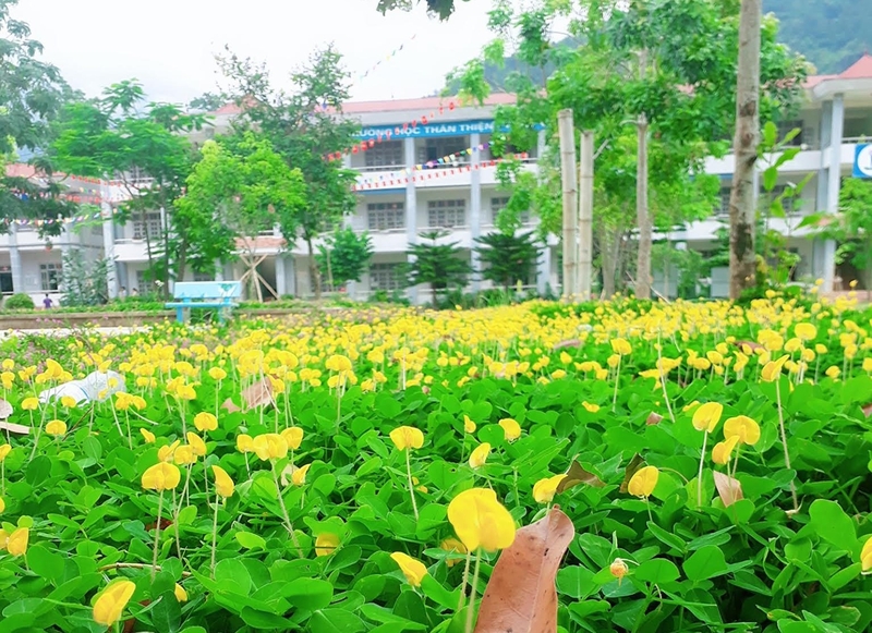 ảnh trường học xanh hình 5